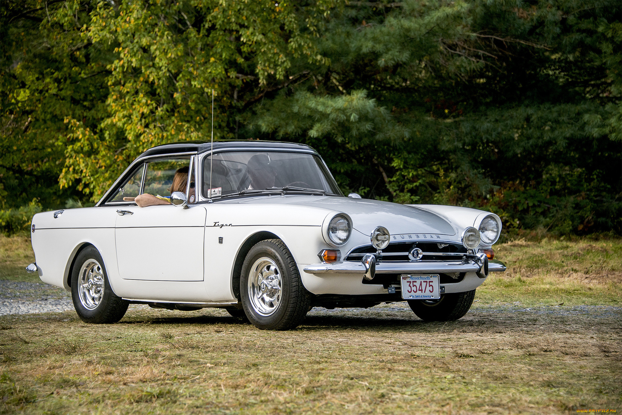 sunbeam tiger, , sunbeam, , , 